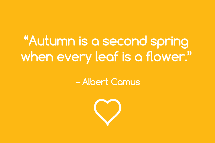Autumn is Here.