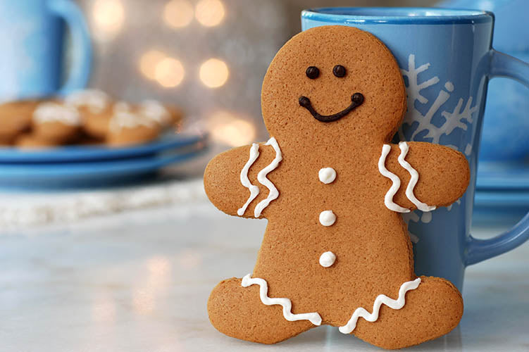 Holiday Joy Ideas