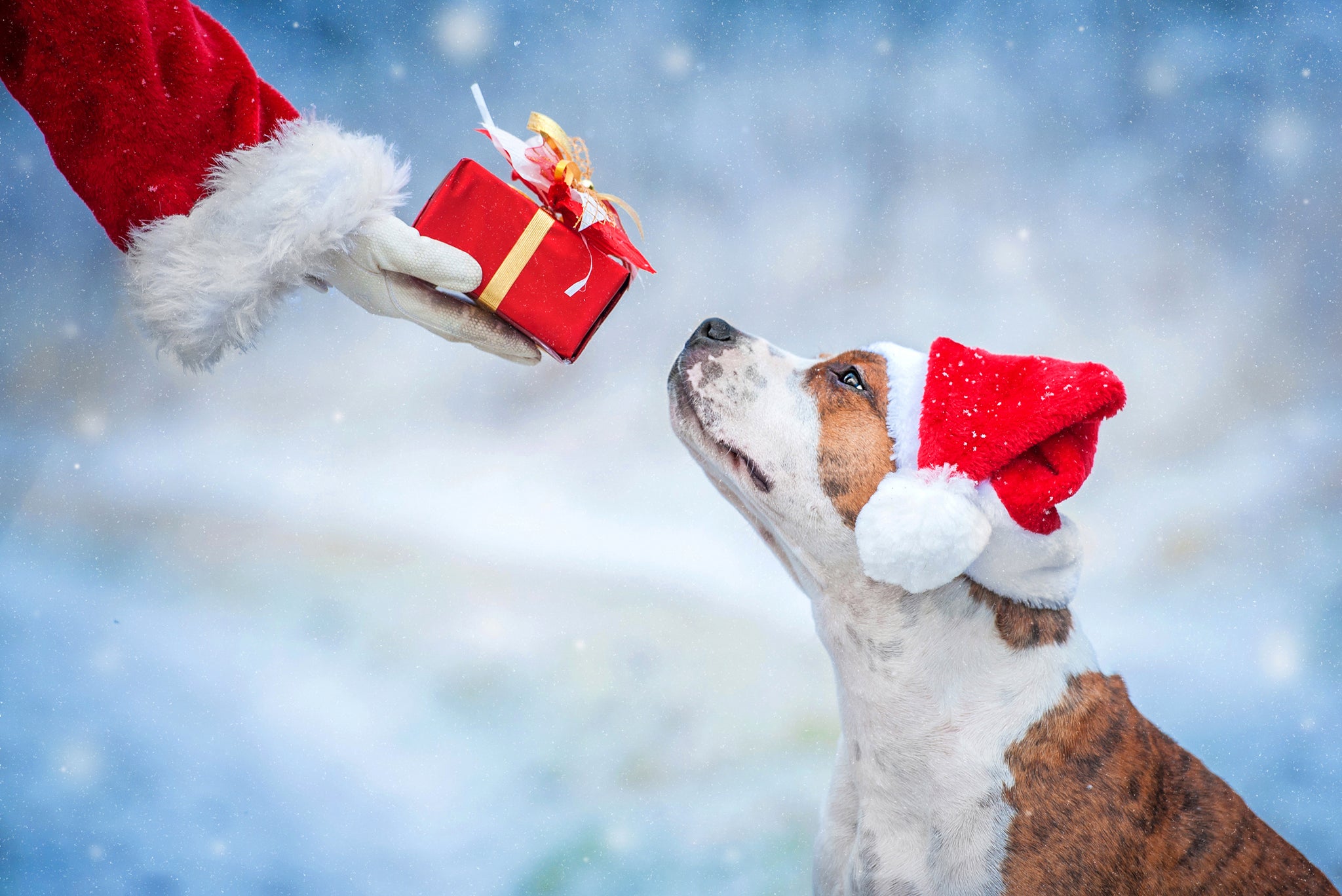 Simple gifting this holiday season