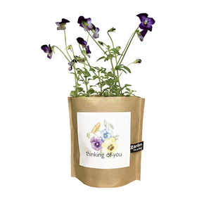THINKING OF YOU BOUQUET - Easy-to-grow 'Garden in a Bag' produces a bouquet of pansies. They can watch them grow and fill the room with happiness. Created by Potting Shed Creations in Idaho.