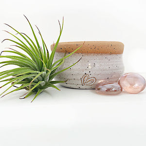 AIR PLANT WITH LAY POT - A little something to remind them you care. A Handmade pot with heart imprinted by Mud Haven Pottery in Georgia. Comes with easy-care air plant. And glass stones. Directions on how to take care of air plant are included in the separate gift box with air plant and pot.